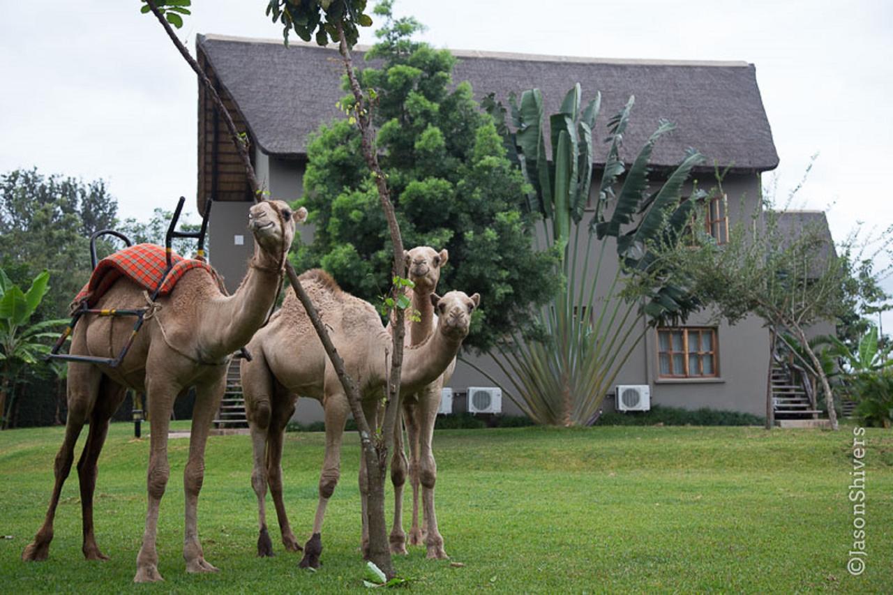 Weru Weru River Lodge Экстерьер фото